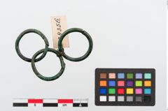 Foto von Bronzering (NHMW-PRAE-024356)